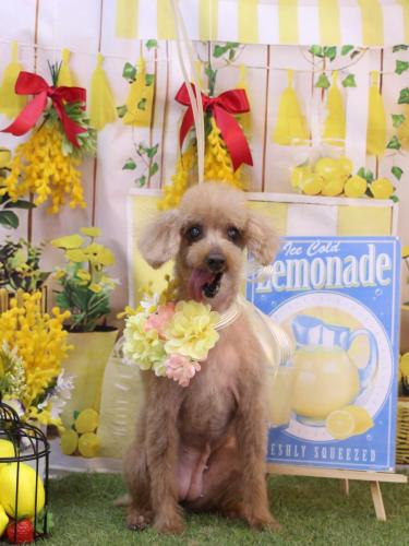 20240410モカちゃん